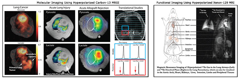 Research images from the Functional and Metabolic Imaging Group (FMIG) at Penn Radiology